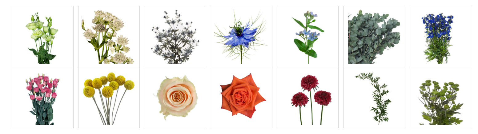 Flower Palette, wedding flowers 